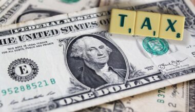 DOGE-"Hackathon" soll alle US-Steuerdaten zusammenführen