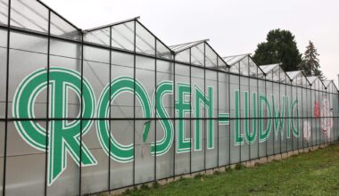 ZVW Plus Artikel