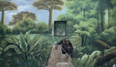 Sony World Photography Awards 2025: Die Illusion des menschlichen Zeitalters