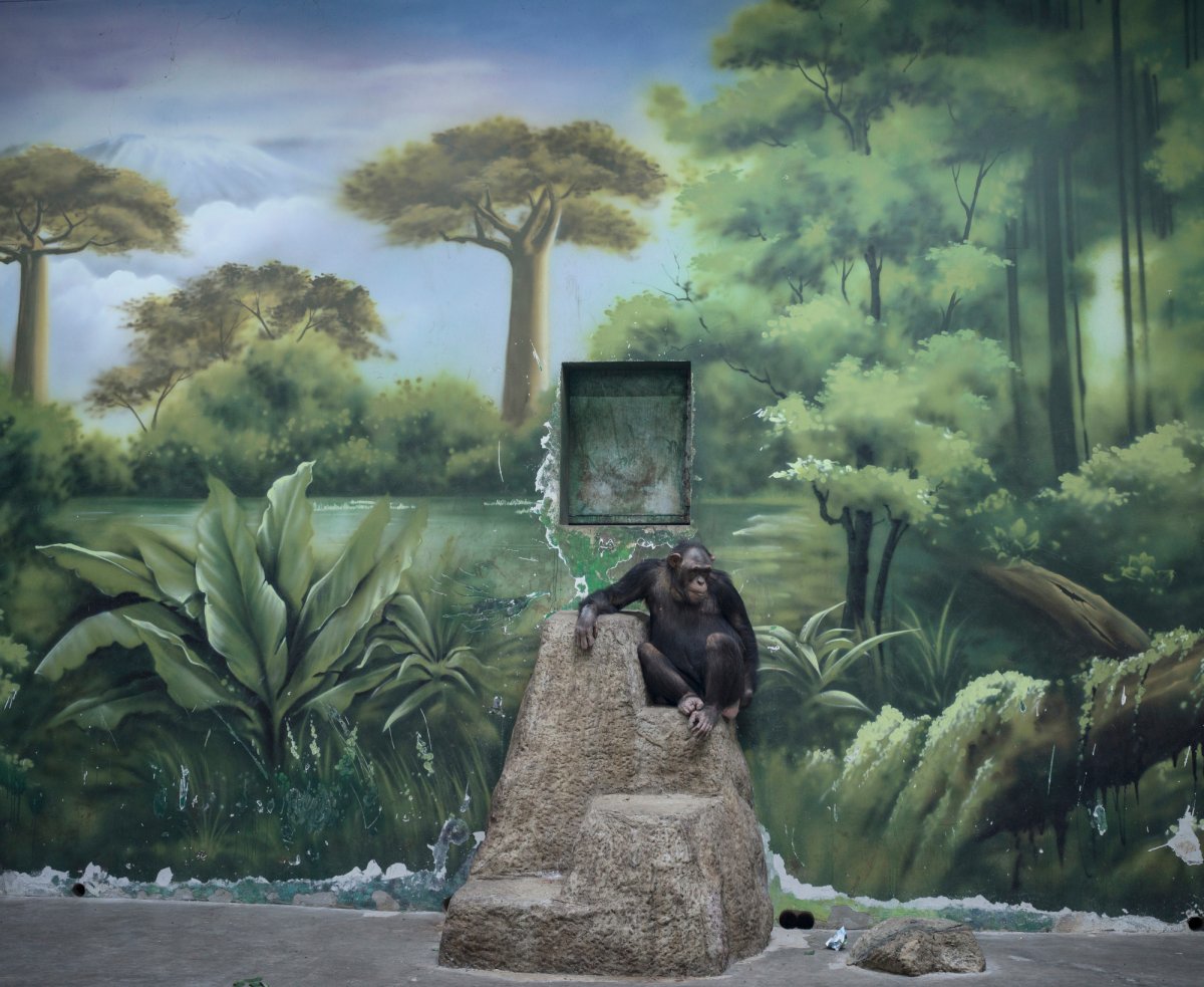 Sony World Photography Awards 2025: Die Illusion des menschlichen Zeitalters