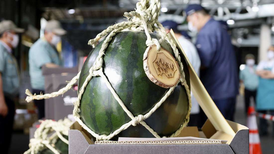 Japanische Densuke-Wassermelone – eines der teuersten Lebensmittel der Welt.
