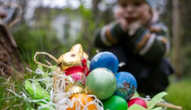 Weniger Ostern für mehr Geld?: Schoko-Hasen werden teuer, gefärbte Eier knapp