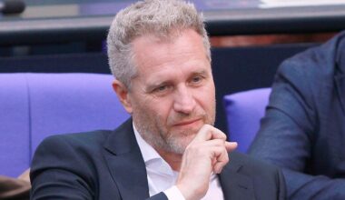 Immunität soll aufgehoben werden: AfD-Politiker Bystron wird auch Steuerhinterziehung vorgeworfen