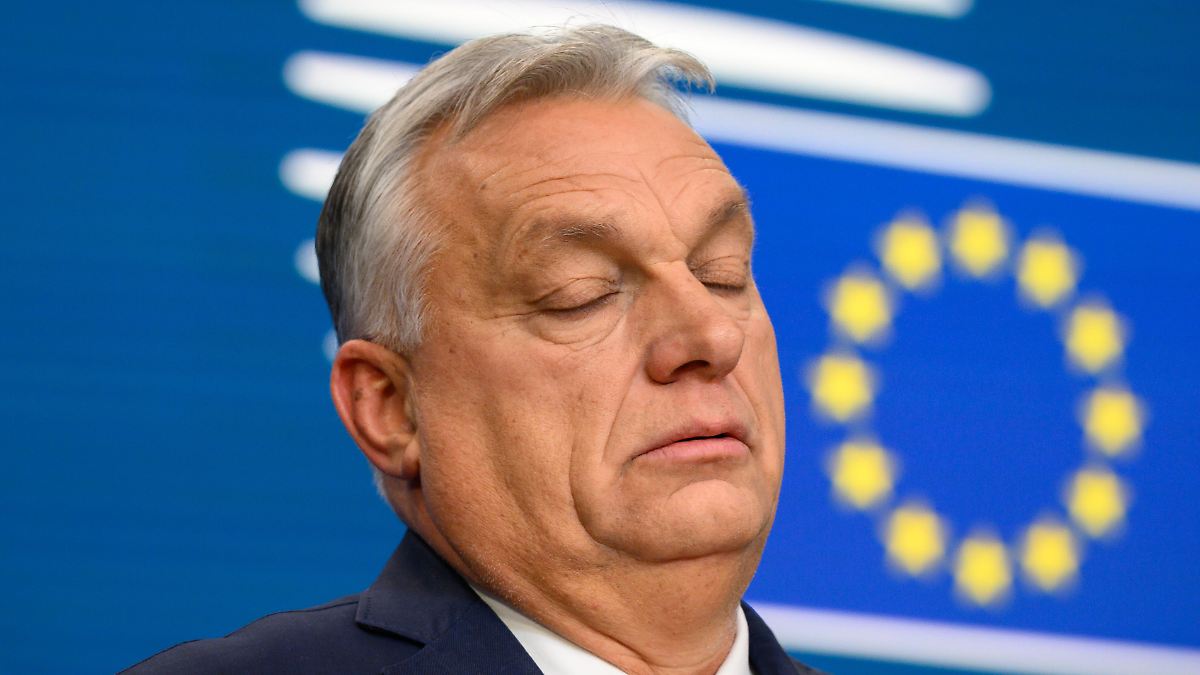 Wütende Reaktion aus Budapest: Estlands Außenminister: Sollten Orban EU-Stimmrecht entziehen