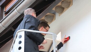 Wenn Schwalben am Haus brüten, geht das Glück nicht verloren