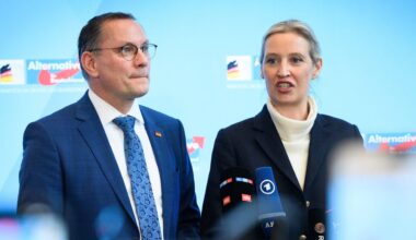 Schon wieder! AfD knackt neuen Umfrage-Rekord - BILD