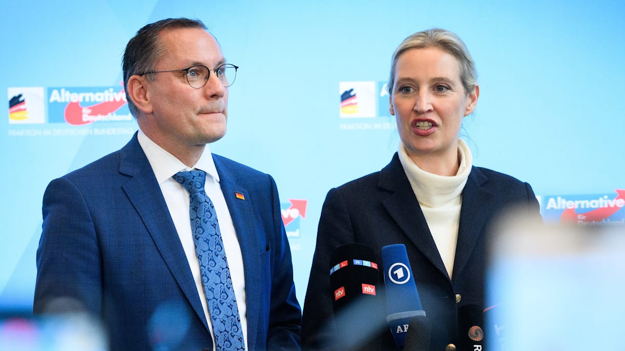 Schon wieder! AfD knackt neuen Umfrage-Rekord - BILD