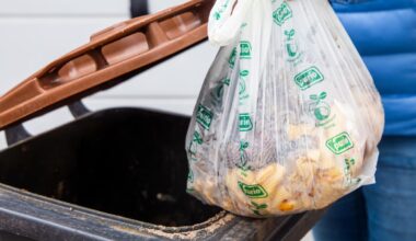 Ein Biomüllbeutel wird in eine Biotonne geworfen.