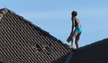 Auf Hausdach geflüchtet: Video zeigt Ziegel-Werfer von Bochum | News