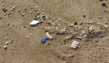 Schwer abbaubare Plastikpartikel: EU plant strengere Regeln gegen Mikroplastikverschmutzung