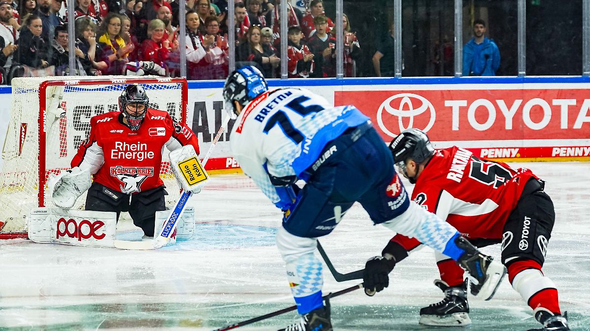 Der Sport-Tag: Überragender Keeper lässt Haie auf Sensation hoffen