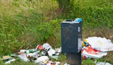 Erneuter Fall von Vandalismus: Remchinger Bärenhütte beschädigt und voller Müll - Region