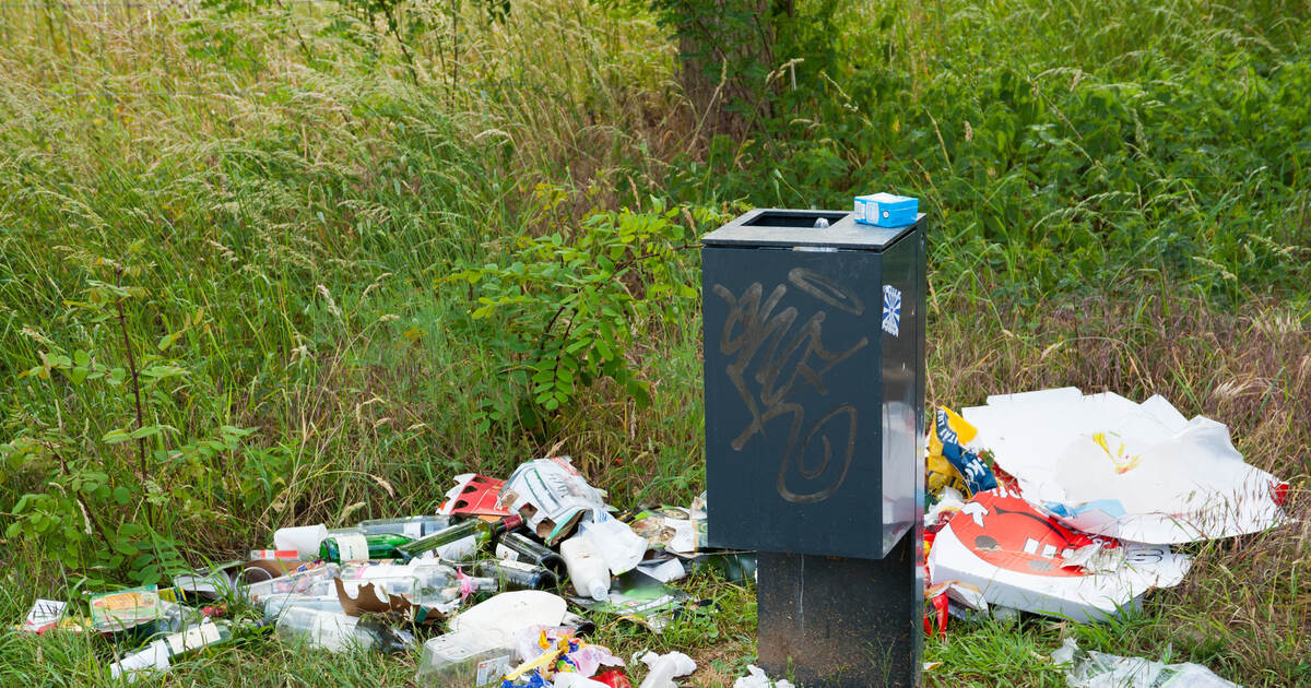 Erneuter Fall von Vandalismus: Remchinger Bärenhütte beschädigt und voller Müll - Region