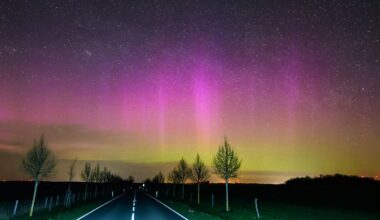 Buntes Naturspektakel: Polarlichter erhellen Himmel über Deutschland