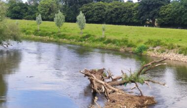 Die aktuellen Pegel der Leine am 03.04.2025