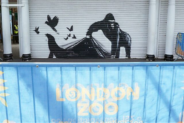 Das Kunstwerk von Banksy am Londoner Zoo zeigt das Bild eines Gorillas auf einem Rollladen, der einen Rollladen hochhebt, sodass Vögel und ein Seehund entkommen, während drei Augenpaare anderer Tiere in der Dunkelheit zu sehen sin