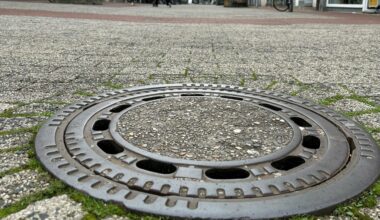 Trockenheit in Dortmund: Gullys stinken, Pflanzen gefährdet