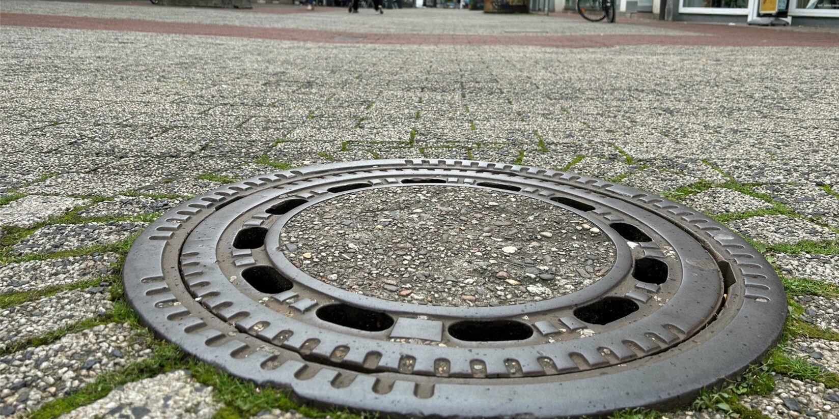 Trockenheit in Dortmund: Gullys stinken, Pflanzen gefährdet