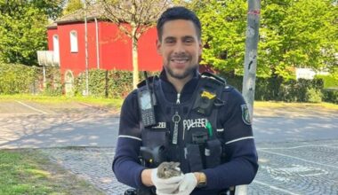 Bochum: Polizei rettet verletztes Kaninchenbaby