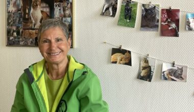 Ausgesetzte Katzen in Dortmund: Das Problem wächst