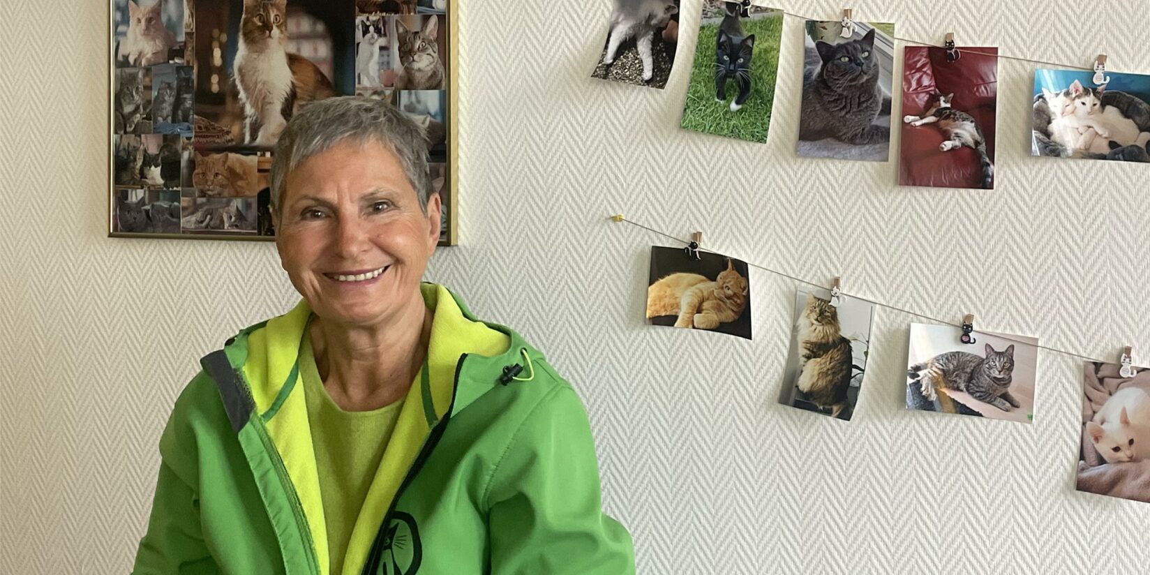 Ausgesetzte Katzen in Dortmund: Das Problem wächst