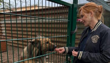 Schauspielerin Andrea Sawatzki rettet Hunde aus Tötungsstation | Regional