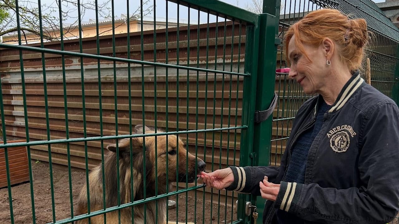 Schauspielerin Andrea Sawatzki rettet Hunde aus Tötungsstation | Regional
