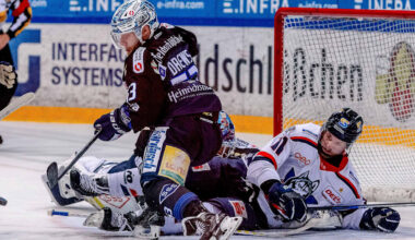 Eishockey: Dresden will Aufstiegs-Quark beenden | Sport