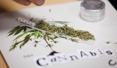 "Wegen rechtlicher Zwänge": Bayern genehmigt drei Cannabisclubs