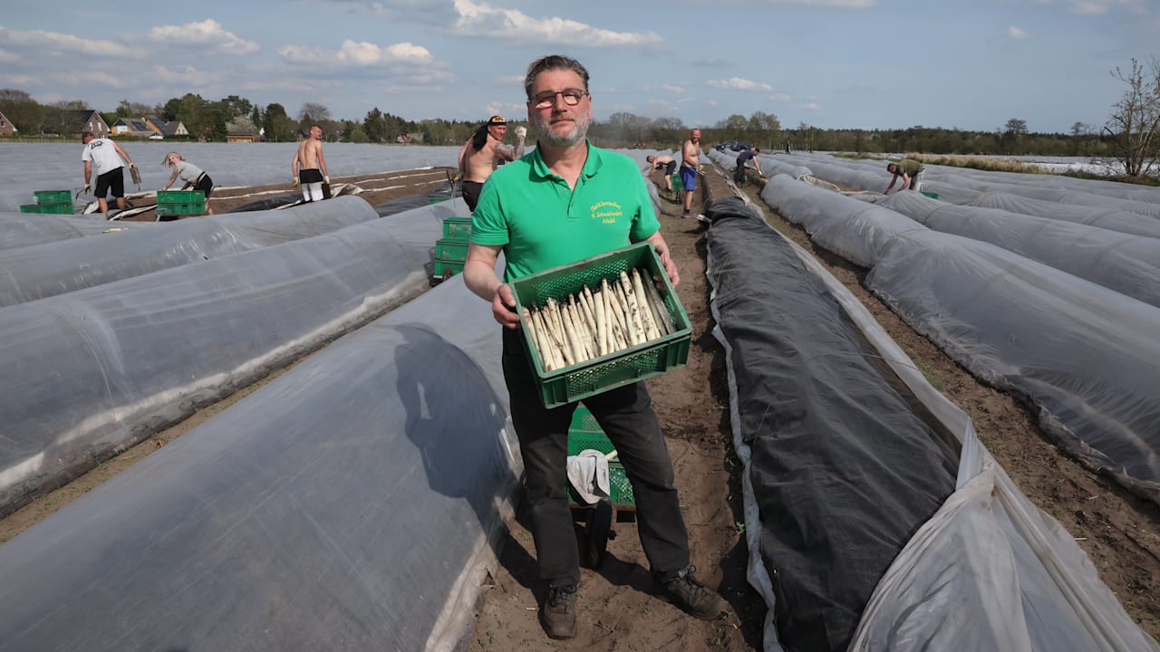 Zahle 3000 Euro im Monat, aber kein Deutscher will den Spargel ernten | Regional