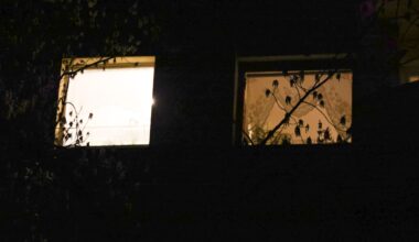 Verbrechen in Berlin-Spandau: Mann (60) tötet Frau (56) in Wohnung | Regional