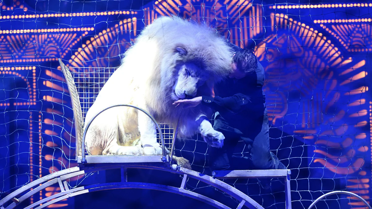 Circus Krone auf Theresienwiese: Tierschützer stürmen Weltpremiere - München