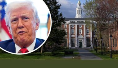 Trump treibt Forscher aus USA: Wir sollten Sie abwerben! | Leben & Wissen