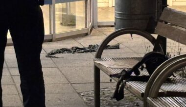 Blutiger Streit in Berlin: Palästinensertuch bei Messer-Tatort | Regional
