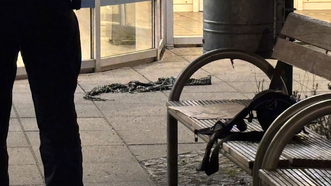 Blutiger Streit in Berlin: Palästinensertuch bei Messer-Tatort | Regional
