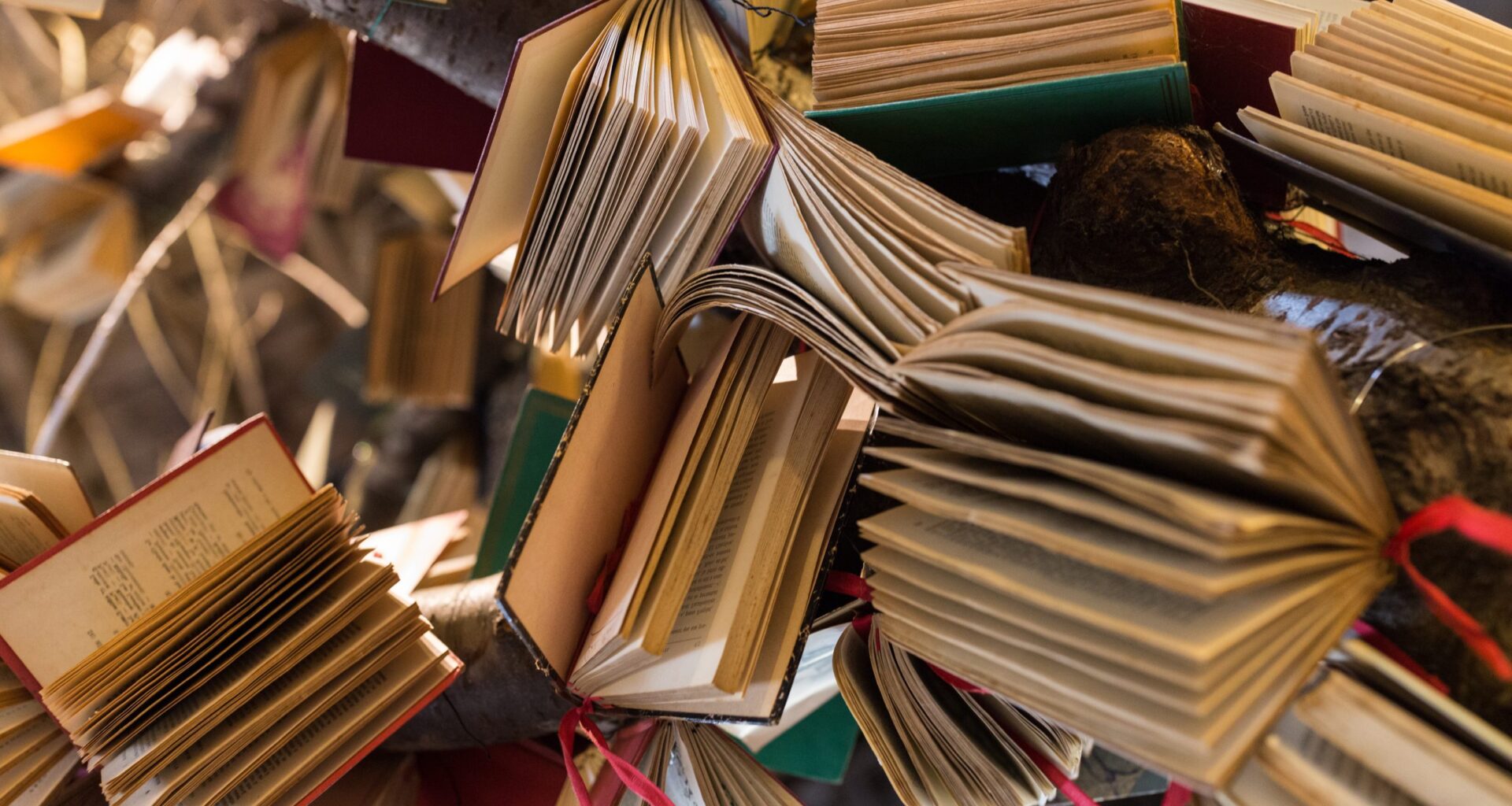 Bücher als Rettungsanker: Wenn Geschichten die Seele beruhigen - new-facts.eu