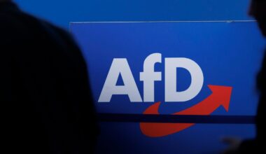 AfD überweist vorsorglich Millionenbetrag an Bundeskasse – wegen monierter Großspende