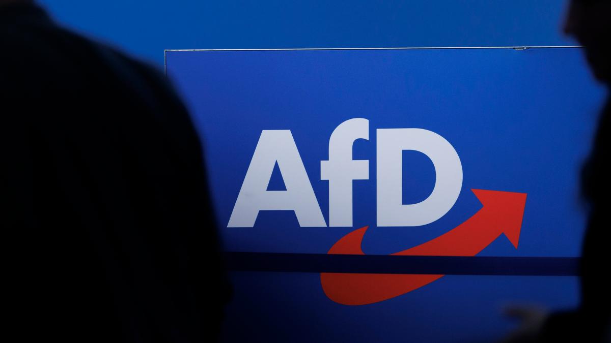 AfD überweist vorsorglich Millionenbetrag an Bundeskasse – wegen monierter Großspende