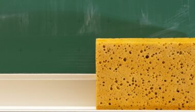 Mit siRNA und Schwamm-Effekt erfolgreich gegen multiresistente Pilze
