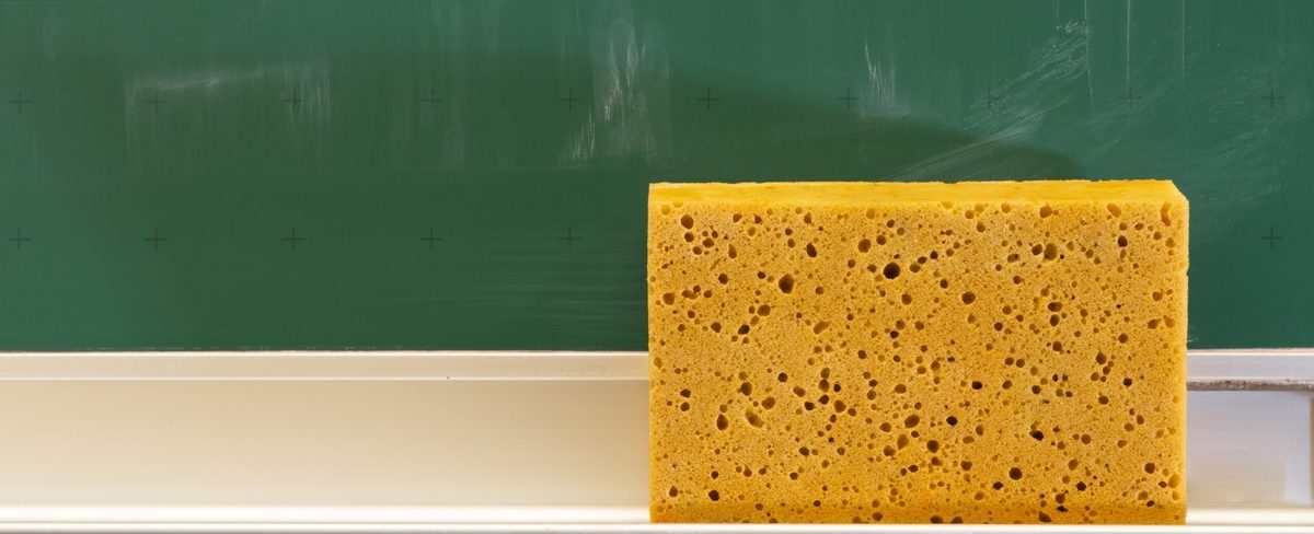Mit siRNA und Schwamm-Effekt erfolgreich gegen multiresistente Pilze