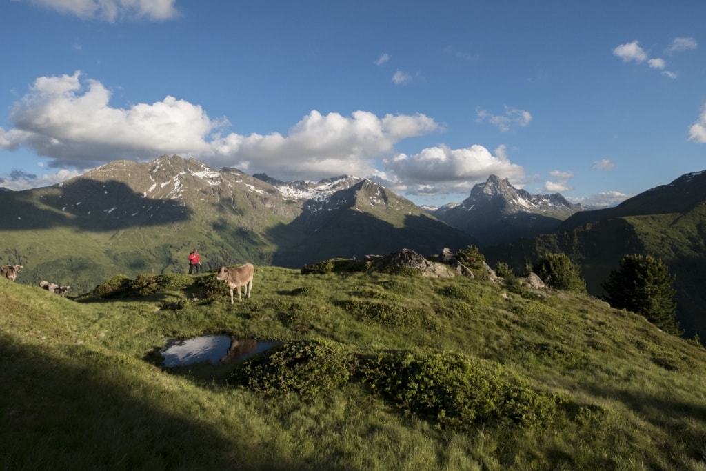 Wanderszene Berggeistweg am Wirt mit Blick auf den Patteriol, Verwallgruppe, Tirol, Oesterreich.