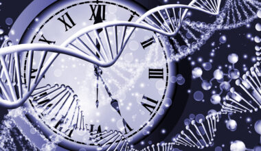 Symbolbild mit DNA-Strängen und einer Uhr