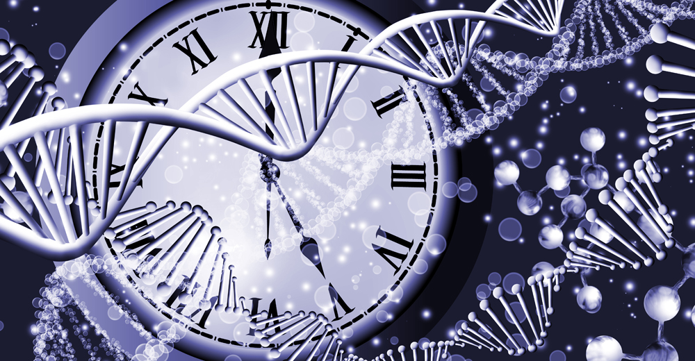 Symbolbild mit DNA-Strängen und einer Uhr