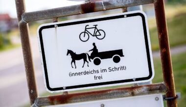Niedersachsen & Bremen: Pferde kommen zum Saisonstart per Fähre zurück nach Baltrum