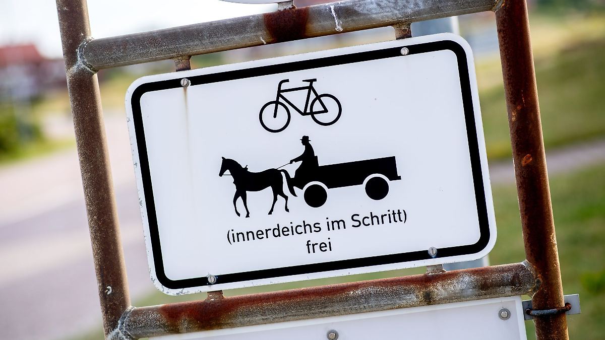 Niedersachsen & Bremen: Pferde kommen zum Saisonstart per Fähre zurück nach Baltrum