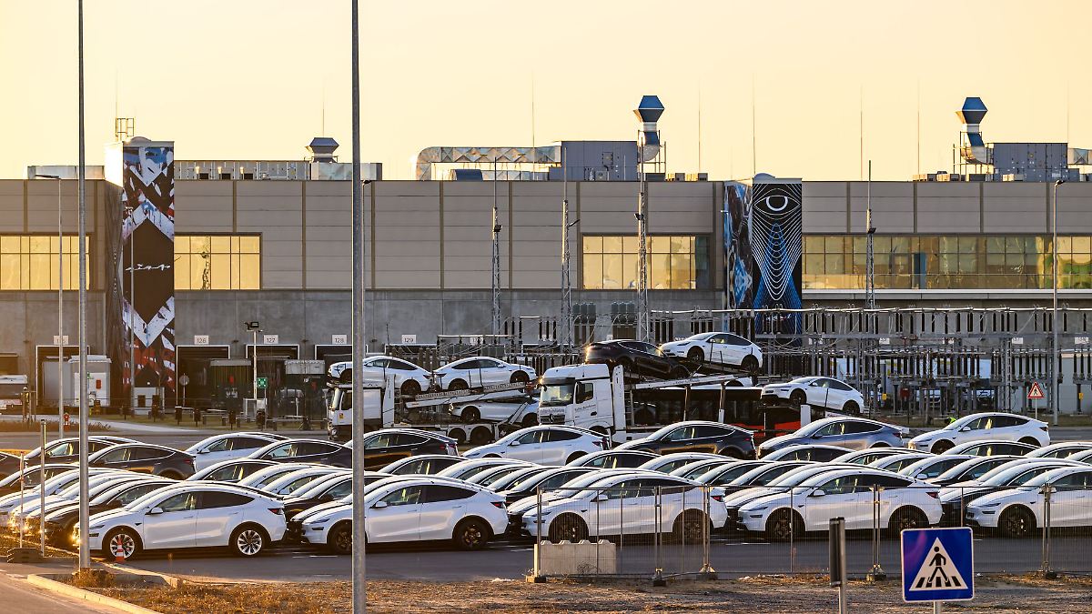 Berlin & Brandenburg: Protest gegen Tesla reißt nicht ab