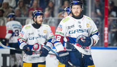 Berlin & Brandenburg: Trotz Rückschlags: Eisbären wollen "einfach weitermachen"