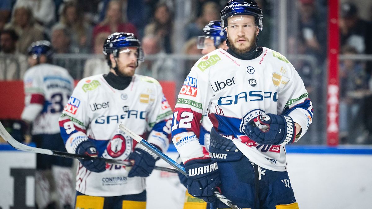 Berlin & Brandenburg: Trotz Rückschlags: Eisbären wollen "einfach weitermachen"
