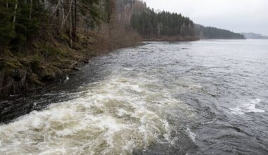 Niedersachsen & Bremen: Wenig neues Wasser für die Talsperren - Versorgung gesichert