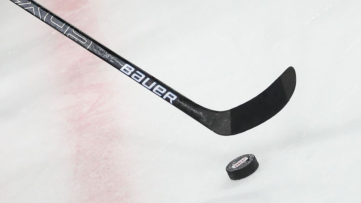 Bayern: Nürnberg Ice Tigers holen Stürmer aus US-College-Liga